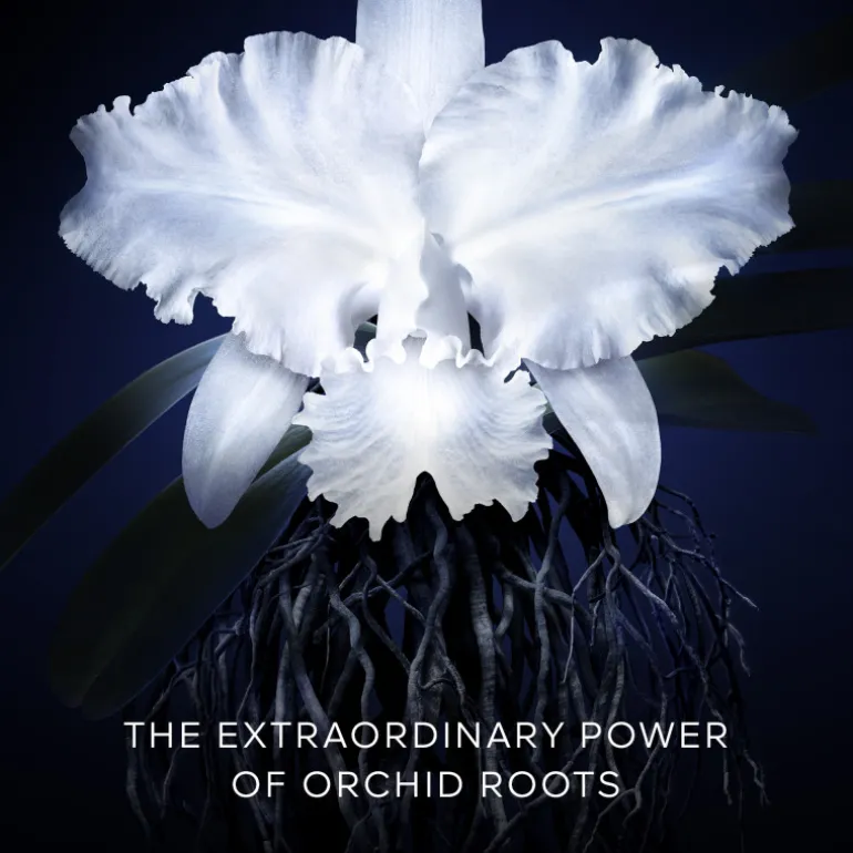 ORCHIDÉE IMPÉRIALE LA CREMA 50ML