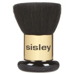 PINCEAU PHYTO-TOUCHES