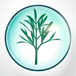 Powercell Night Rescue Crema de Noche