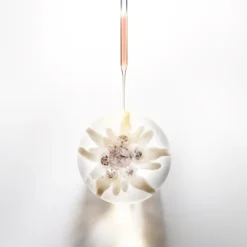 PRODIGY CELL GLOW CONCENTRATE 100 ML