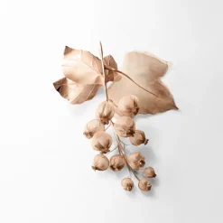 ROSE GOLD EAU DE PARFUM VAPORIZADOR