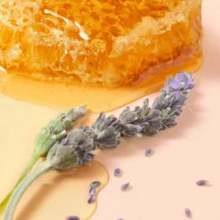 RÊVE DE MIEL SOIN LÈVRES AU MIEL