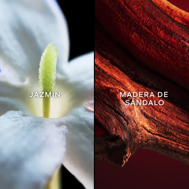 SAMSARA EAU DE PARFUM 75ML