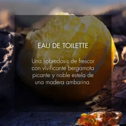 SAUVAGEEau de Toilette