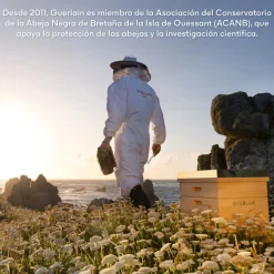 Set Abeille Royale Ritual Antiedad Honey Treatment Crema de Día