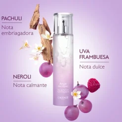 SET ADICCION AGNE DES VIGNES