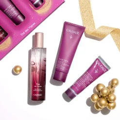 Set Agua Fresca Thé des Vignes + Regalos