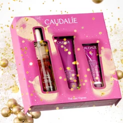 Set Agua Fresca Thé des Vignes + Regalos