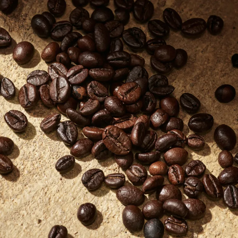 Set Devotion Male Eau de Parfum