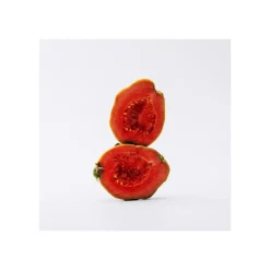 Set Loewe Solo Eau de Toilette