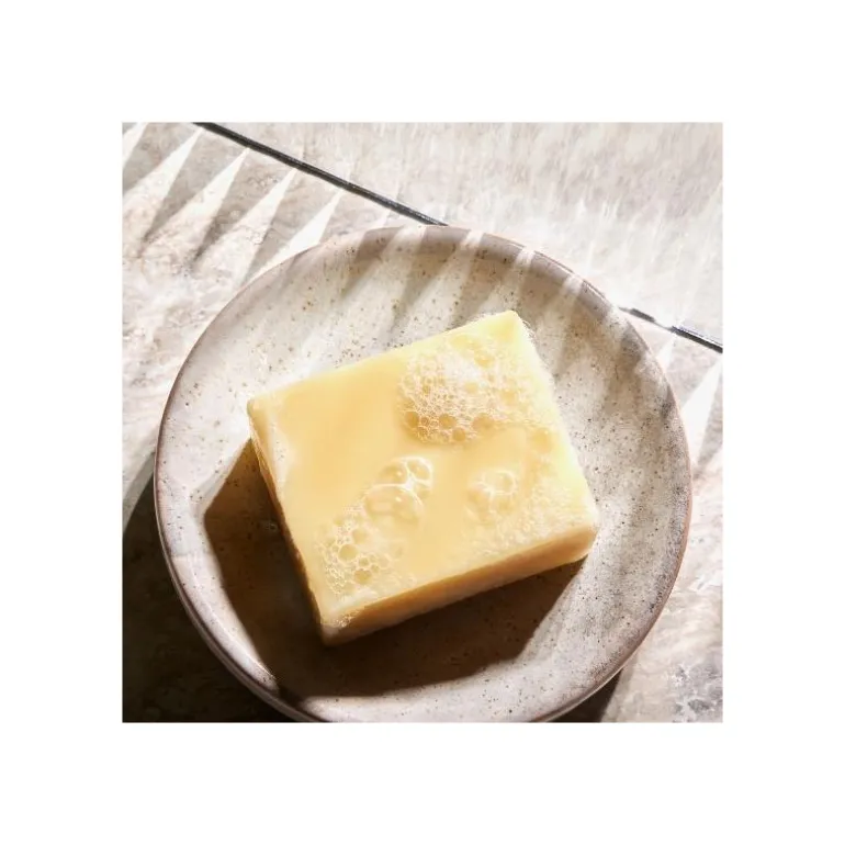 SHAMPOOING SOLIDE HYDRATANT À L'ALOE 100 ML