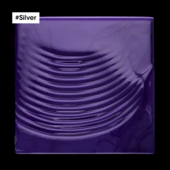 SILVER CHAMPÚ 300ML