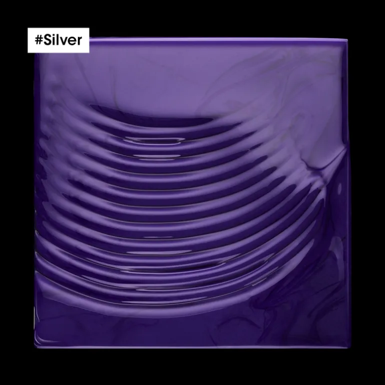 SILVER CHAMPÚ 300ML