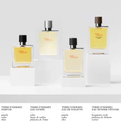 TERRE D'HERMÈS PARFUM