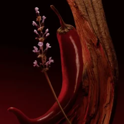 The Scent Magnetic Eau de Parfum para Mujer