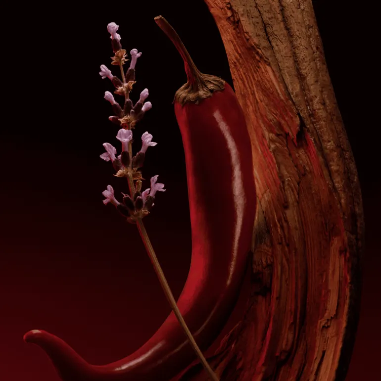 The Scent Magnetic Eau de Parfum para Mujer