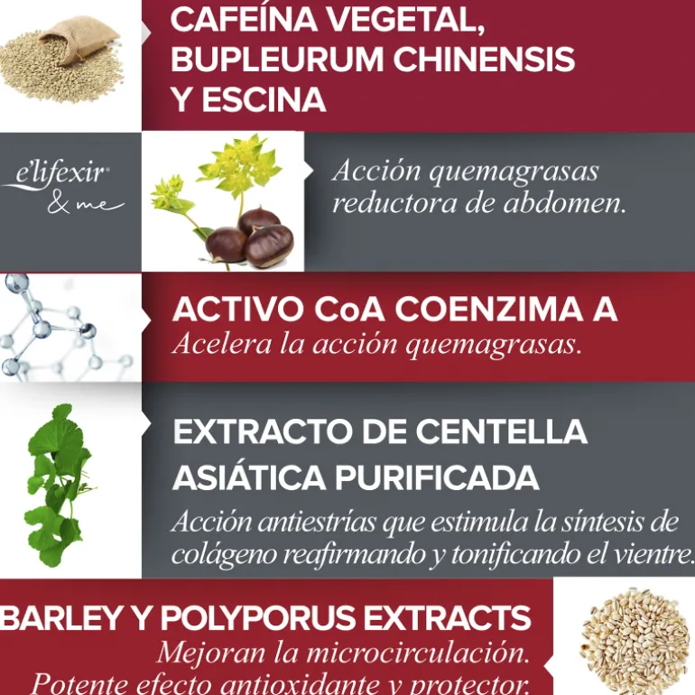 Vientre Plano Crema Reductora Abdomen Reafimente Quemagrasas