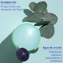 Vinofresh Desodorante Natural 24 Hs 50 gr