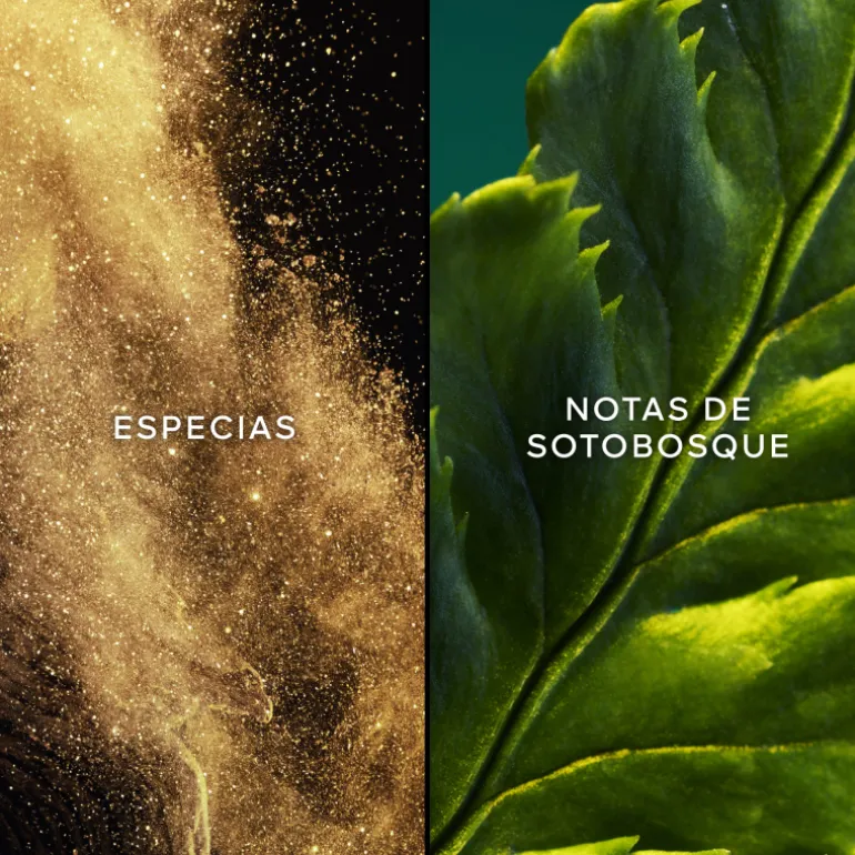 VOL DE NUIT EDT 75ML